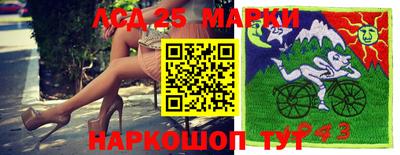 гидропоника Севастополь