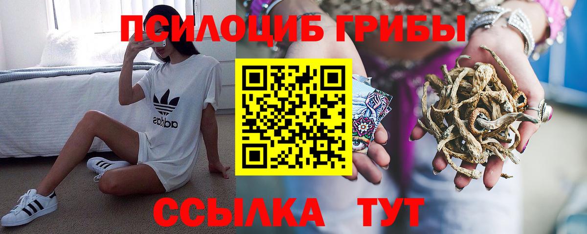 Галлюциногенные грибы мухоморы Россошь