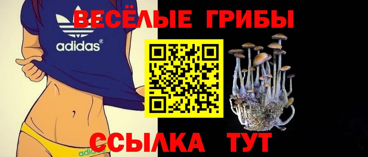 где купить   Вход с VPN  Россошь  Галлюциногенные грибы мицелий 